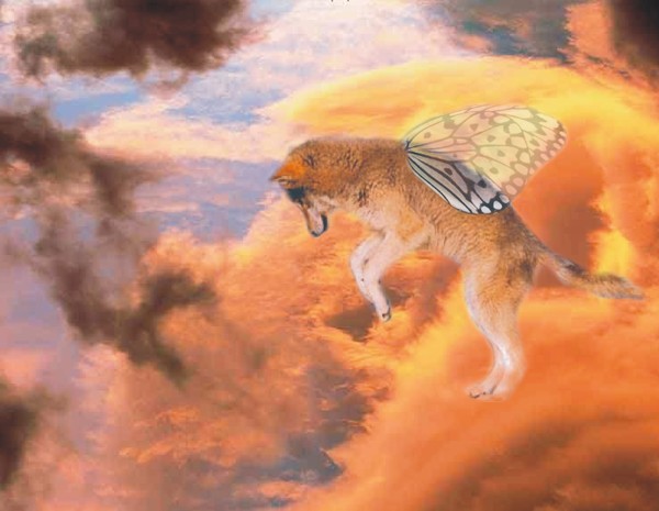 Cloud Dancer