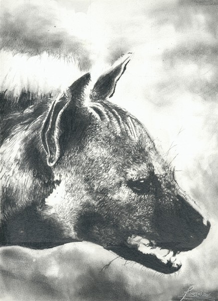 Hyena