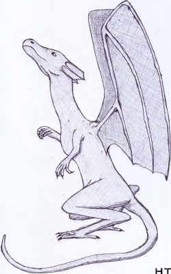 Curious dragon