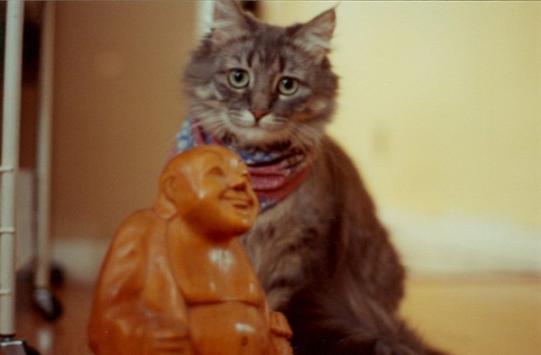 Aisling and Buddah