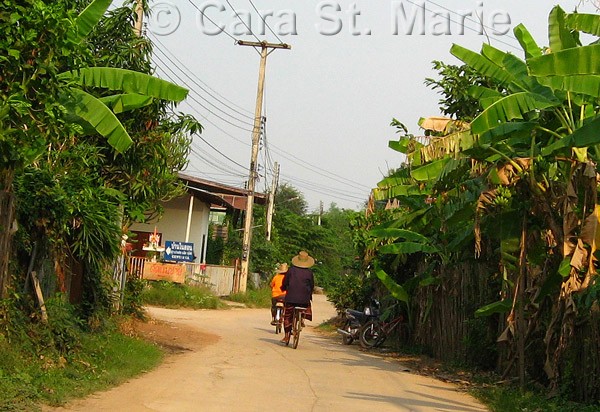 Bicyclists in Sukhothai