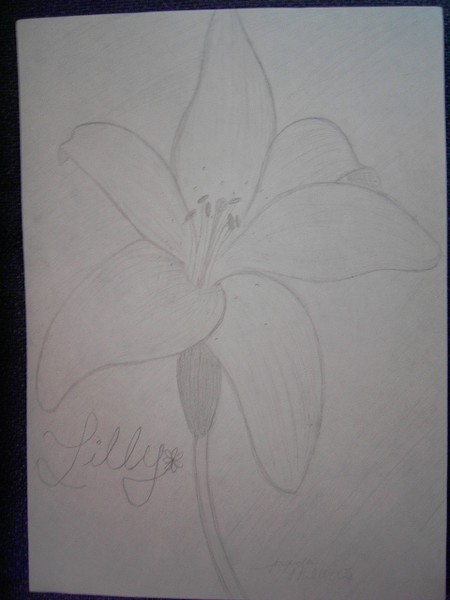 Lilly