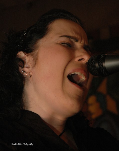 Lady Sings the Blues