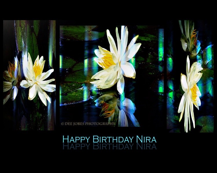 Happy Birthday Nira !