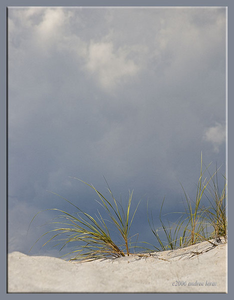 Dunes