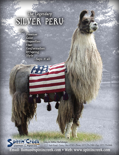 Spittin' Creek Silver Ad
