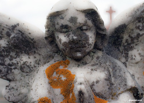 ANGELS WITH DIRTY FACES
