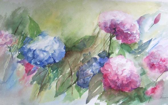 hydrangeas 2006