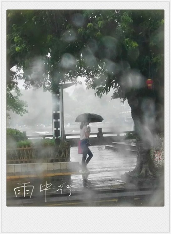 Walking in Rain