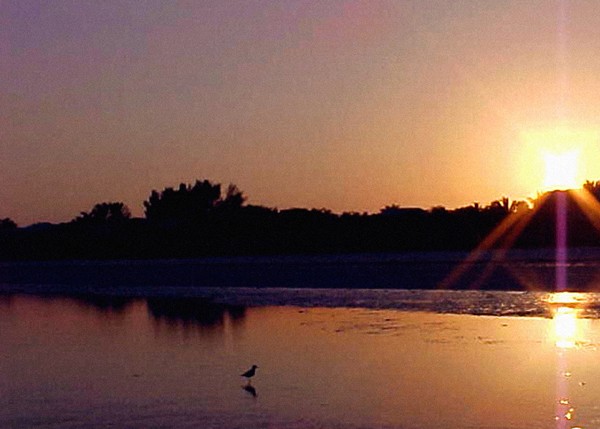 Sanibel Sunset