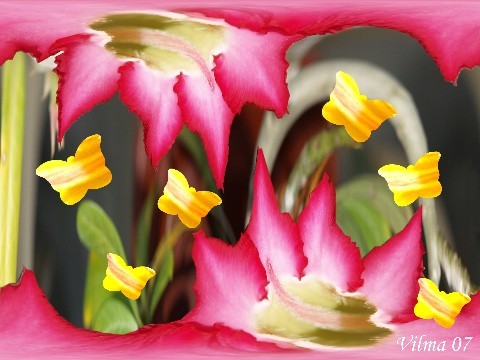 Series: Extending Life's Beauty