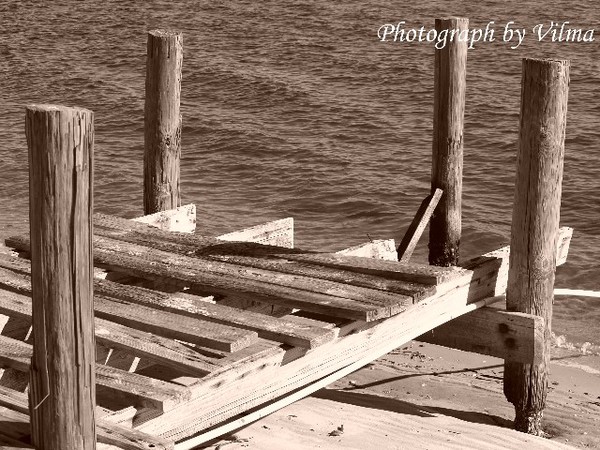 Brittled Shores #2