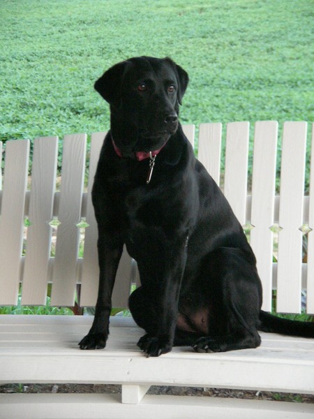 On Alert
