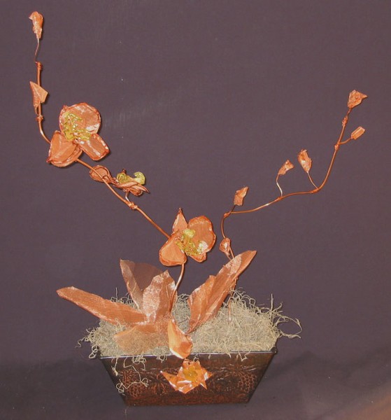 WIRE ORCHIDS