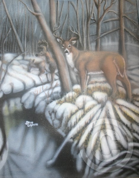 Deer Timber
