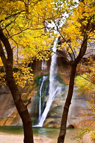 Calf Creek Falls through Cottonwoods