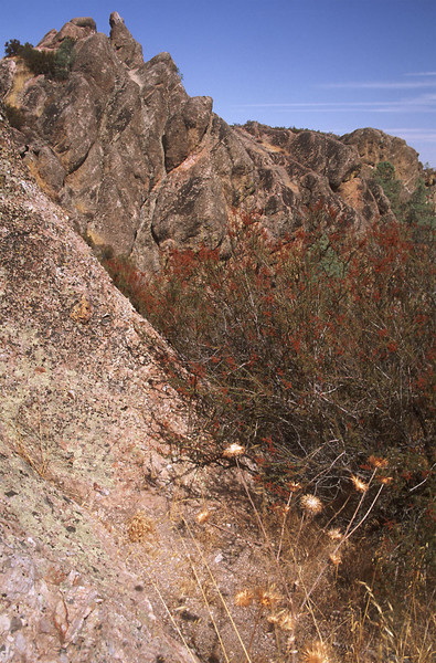 The Pinnacles Autumn Colors 2