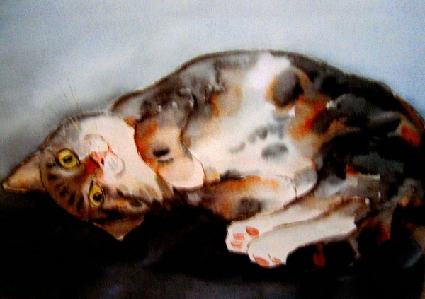 little cat