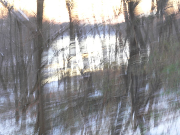 Disturbed Mind