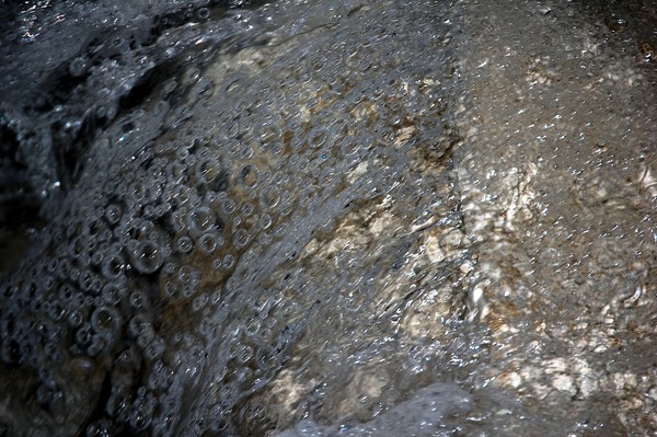 Bubbles
