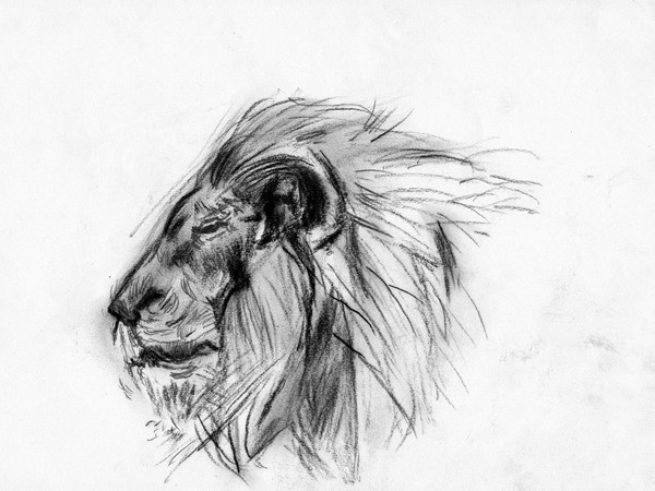 Grrrrrrrrrrrrrrrrrrrrrrrrrr