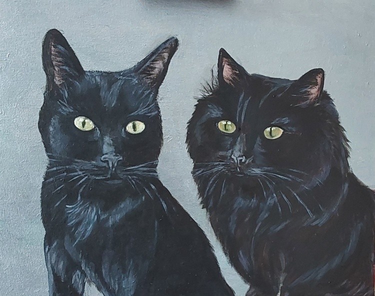 Black Cats