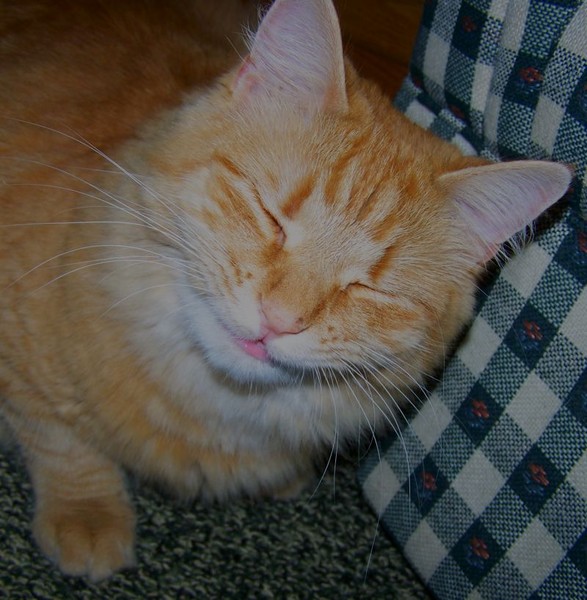SMILE!