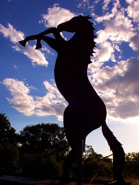 Horse Silhouette