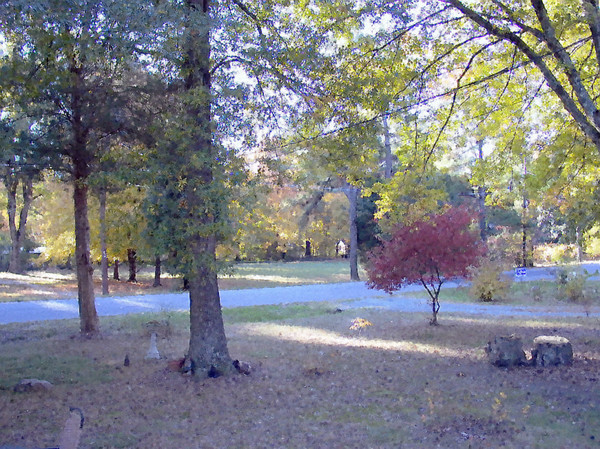 Autumn Comes Creeping