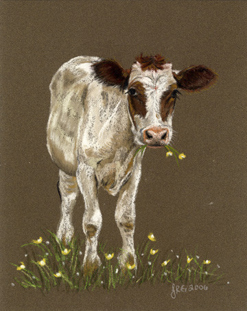 Calf eating flowers