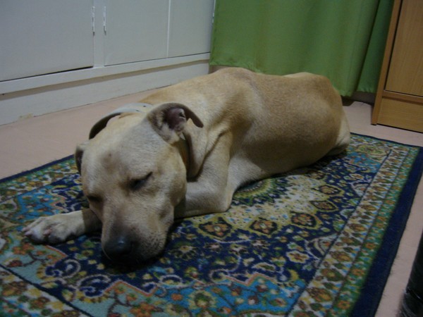 Shoubi on her own Private Mat!