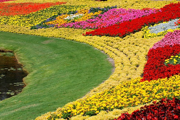 Garden display
