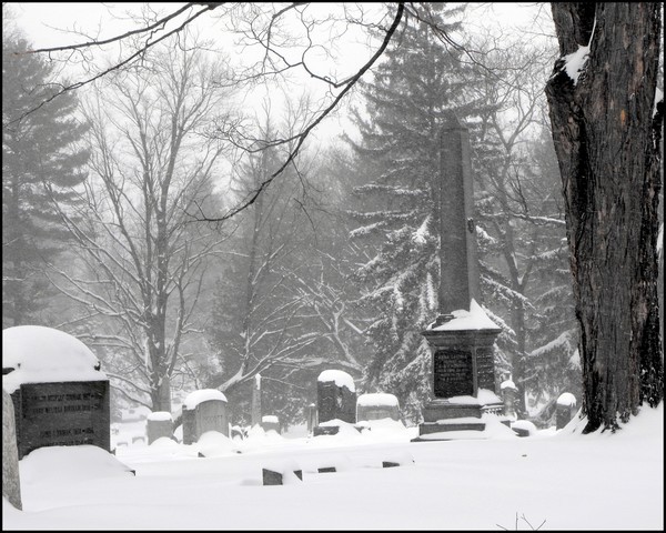 Cold Cemetery