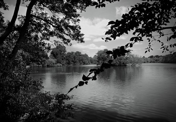 CALM WATER