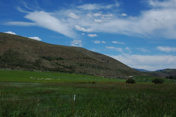 Open Prairie in Eastern Washington