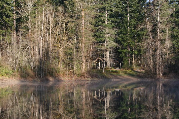 Quiet Reflection