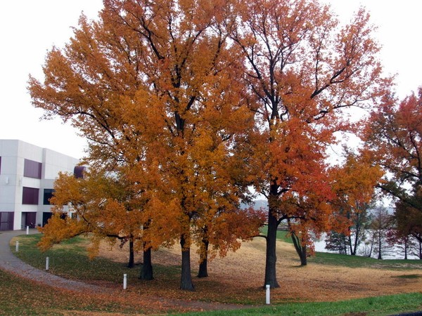 Full of color