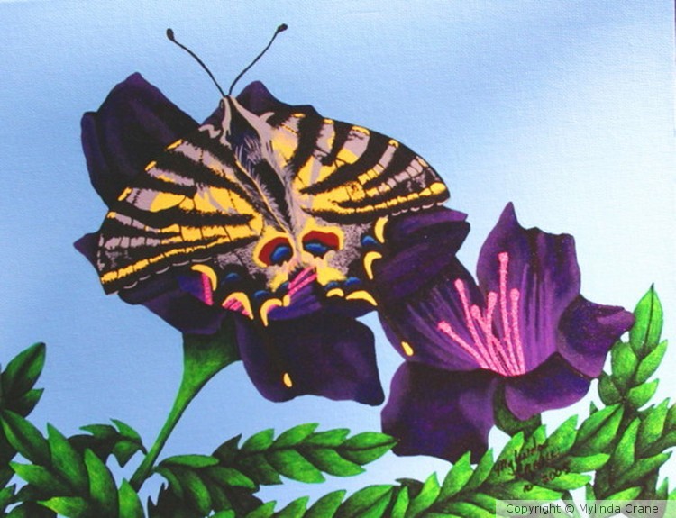 Purple Majesty