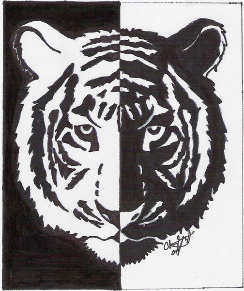 White Tiger Design Studio Logo