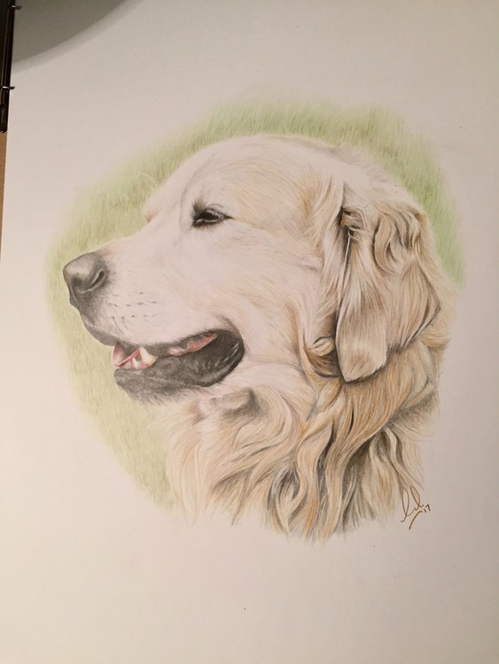 Rufus