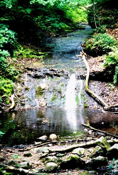 Parfrey's Glen