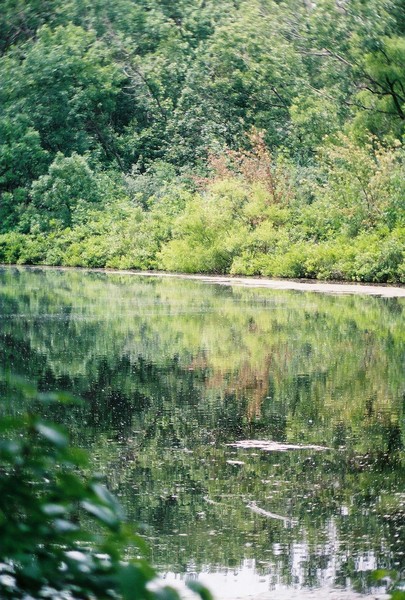 nature