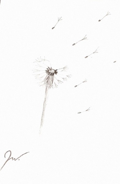 Seeds in the Wind