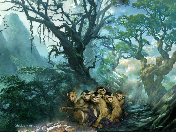 Monkeys Park  * 2020 Kiddolucaslee