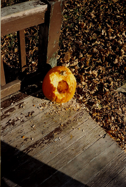 My Porch