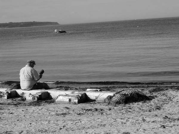 The Old Man and the Sea