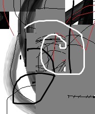 NEW AGE 2013