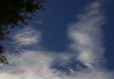 energy field