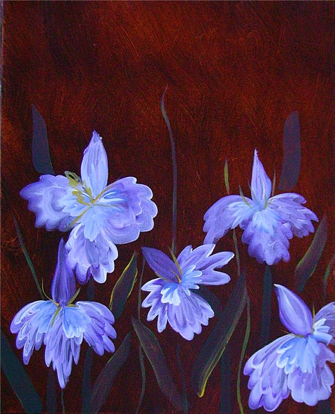 Iris's -Sold