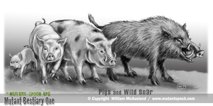 Pigs and Wild Boar